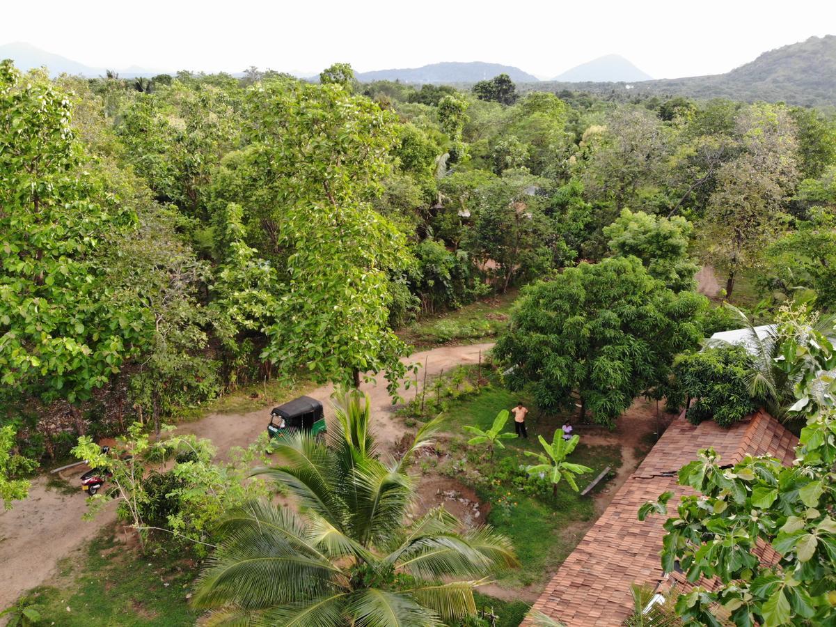 Araliya Self Cooking Resort Dambulla Exterior photo