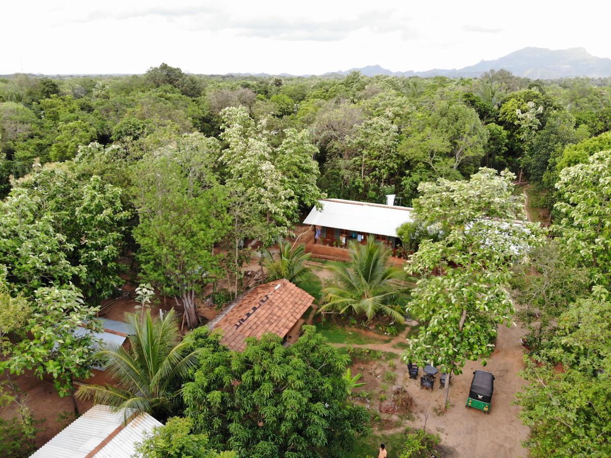 Araliya Self Cooking Resort Dambulla Exterior photo