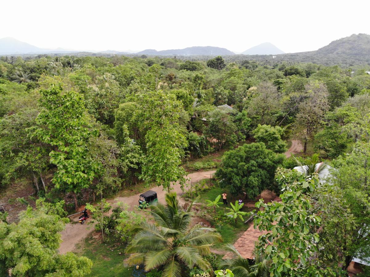 Araliya Self Cooking Resort Dambulla Exterior photo